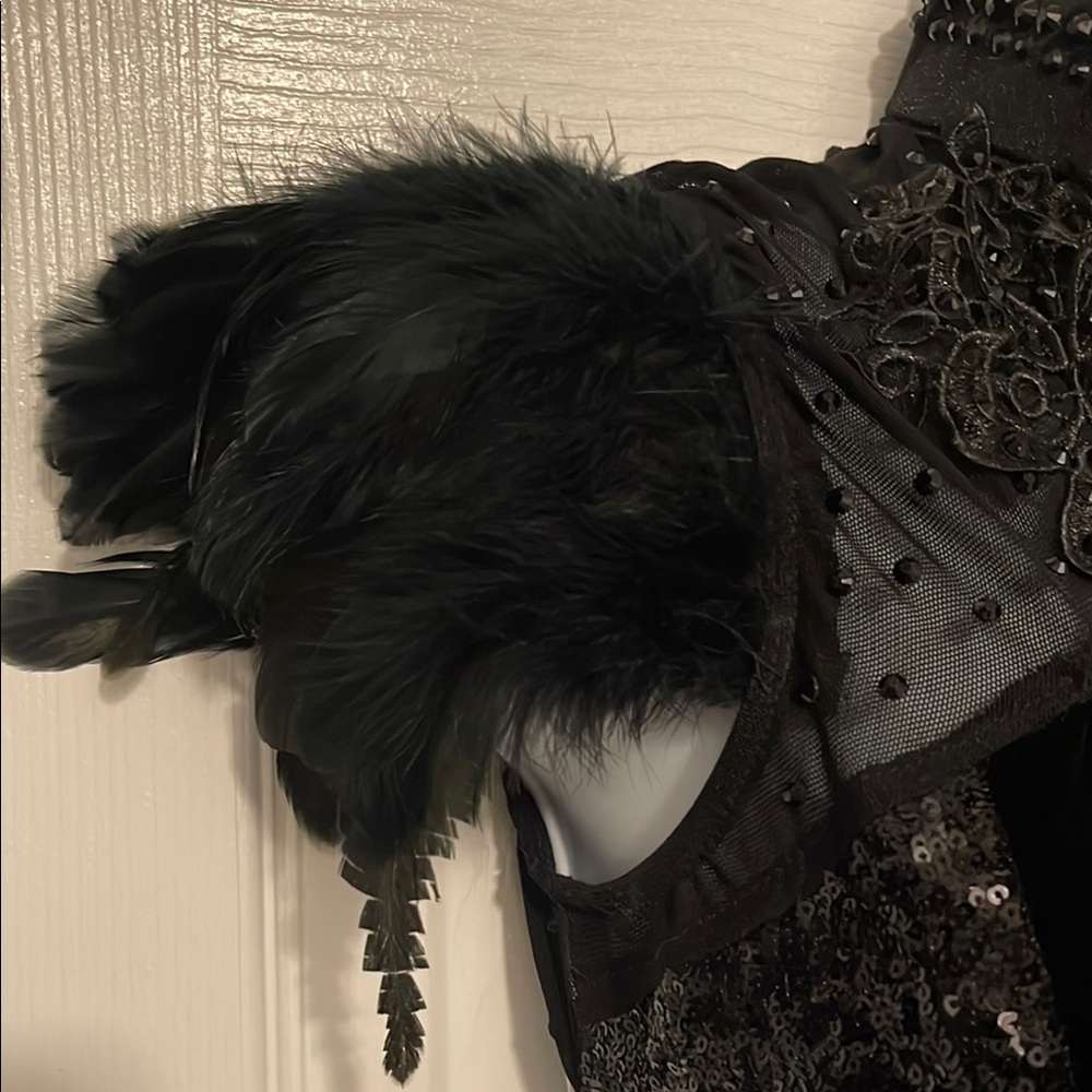 Glamour Black Feathered Costume - Picture 3 of 14